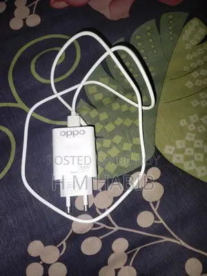 Oppo 33w Charger