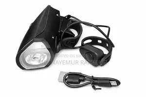 Headlight with Horn