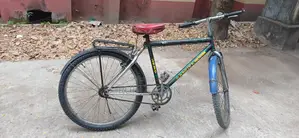 Bicycle for Sale