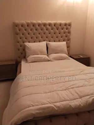 Luxurious Gym Swimming Apartment Rent in Gulshan
