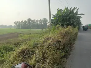 Land for Sale for Corporate Use