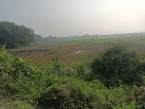 কম্পানির জন্য জমি বিক্রি