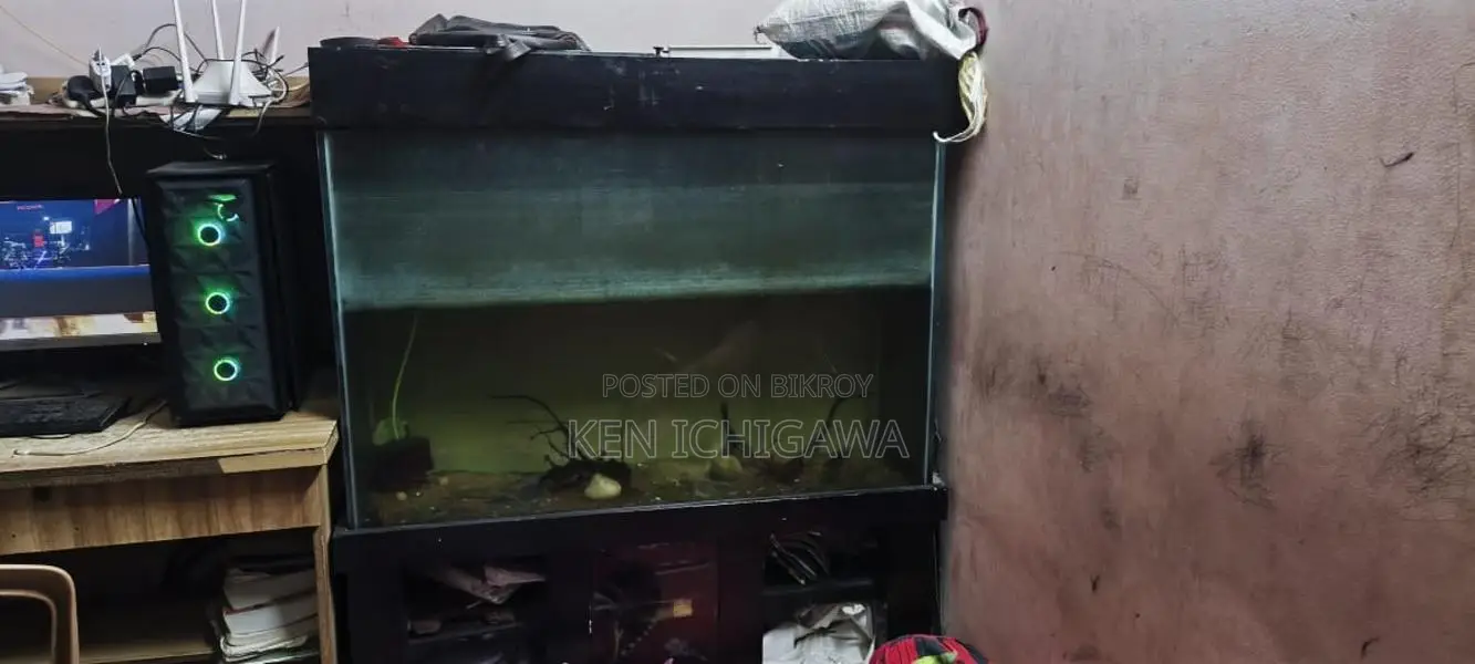 4 Feet Aquarium with Stand