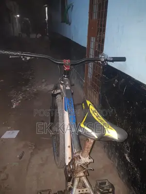 Phoenix Bicycle for Sale