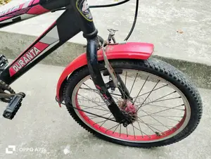 Duranta Bicycle for Sale