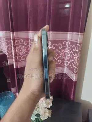 Apple iPhone 13 Pro Display Dead (Used)