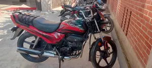 Hero Passion Pro . 2008