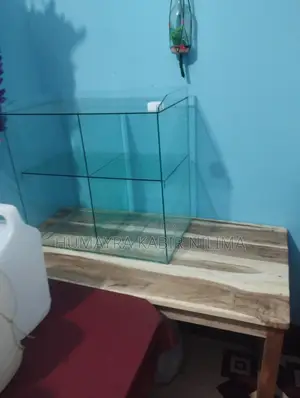 Display Rack for Sale