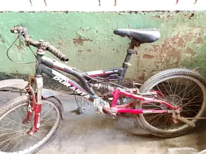 Duranta Recoil 20