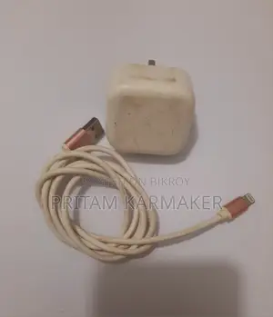 Charger for Sale