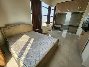 Luxurious Gym Swimming Apartment Rent In Gulshan