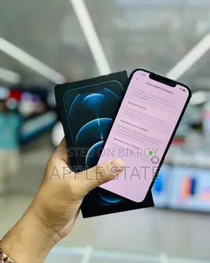 Apple iPhone 12 Pro Max 256GB Singapore (Used)