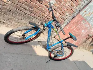 Finiss Bicycle for Sale