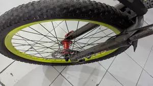 Forever Bicycle for sale