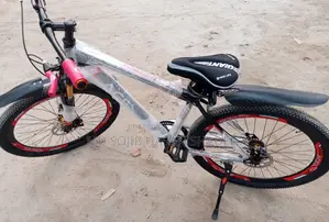 Duranta Bicycle for sale