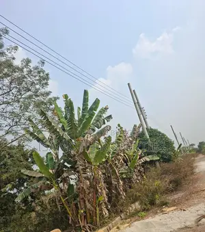 সাউথ ফেস ৩ কাঠা সেক্টর ২৫
