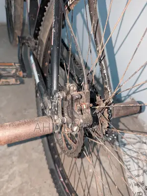 Duranta Bicycle for Sale