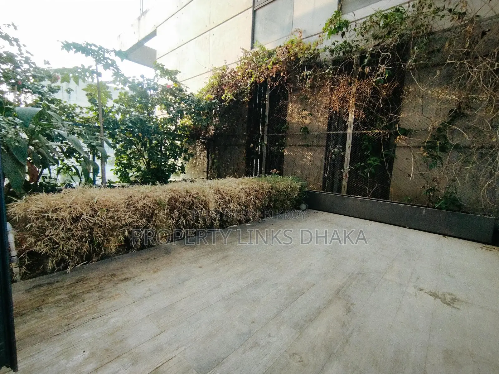 Luxury Apartment For Rent In Gulshan 2 Dhaka
