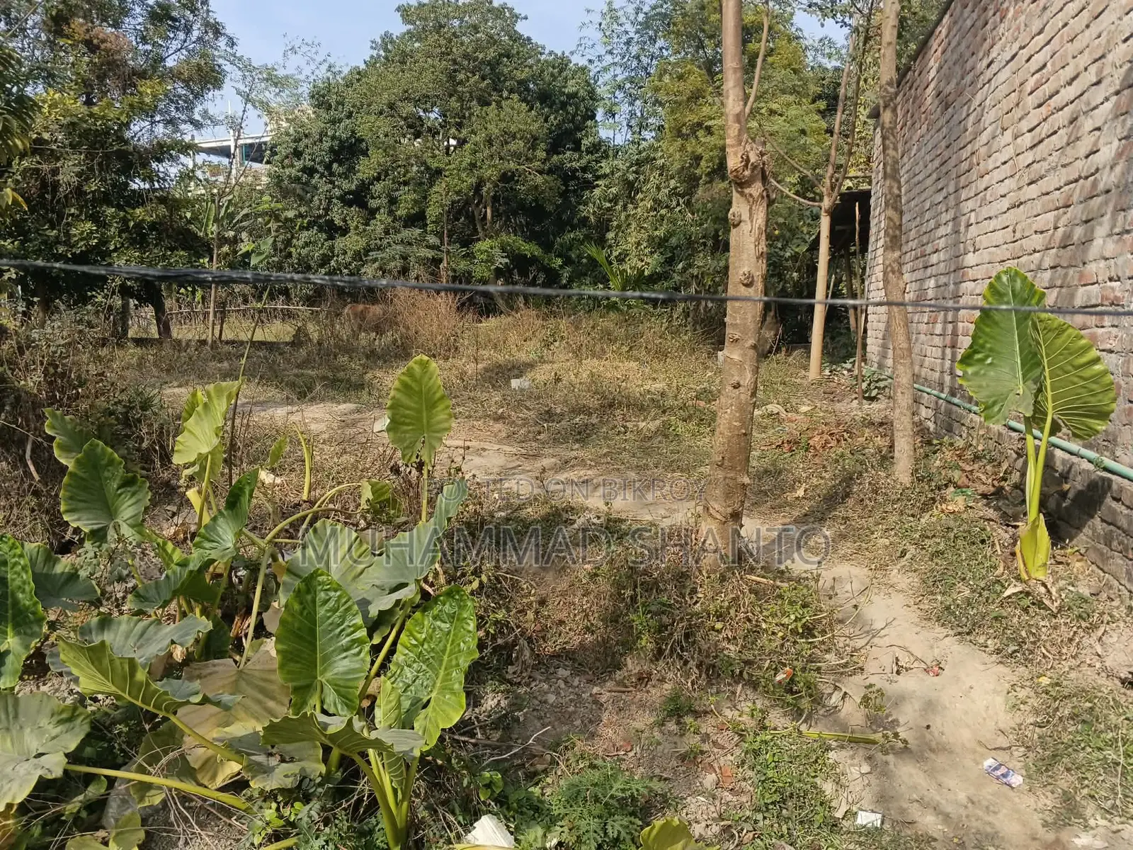 জমি বিক্রয়
