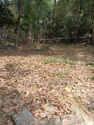 Residential Land 3.55 Katha
