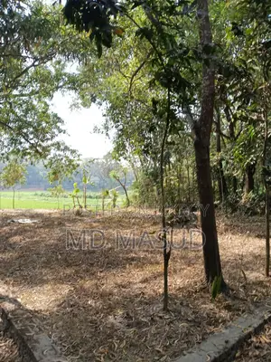 Residential Land 3.55 Katha