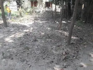 4 Decimal Land with 10ft Road Access
