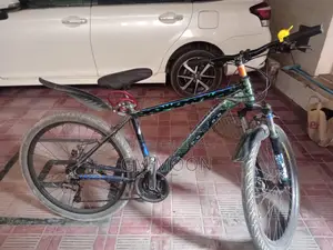 Ghost Bicycle for Sale