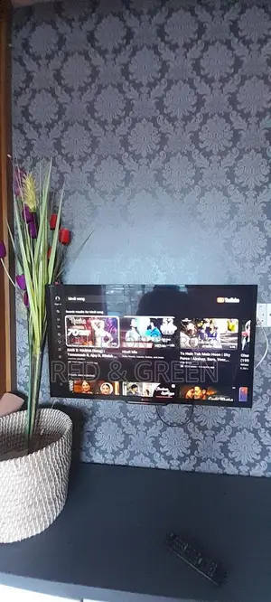 Sony Bravia TV