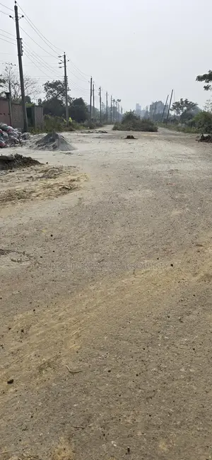 ১০০ ফুট প্রশস্ত রাস্তার প্লট বিক্রয় হবে