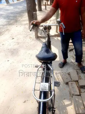 Phoenix Bicycle for Sale