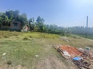 Plot ready for construction in Baya with 18' government road access on two sides