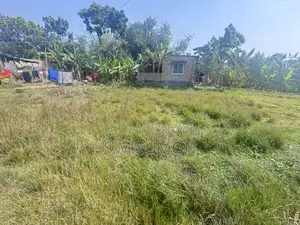 Plot ready for construction in Baya with 18' government road access on two sides