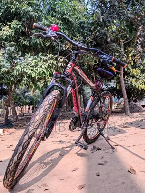 Duranta Bicycle for Sale