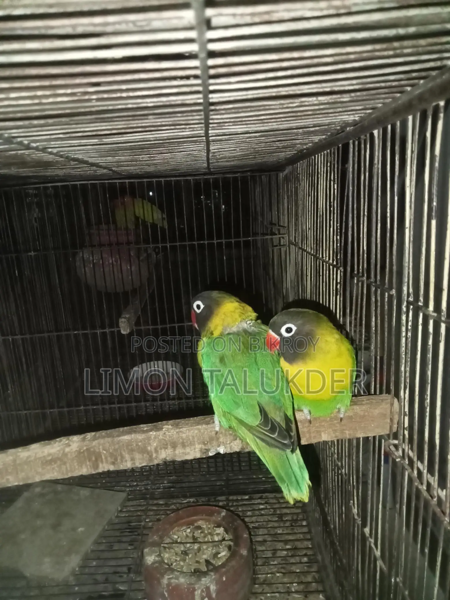 Yellow Color Master Pair