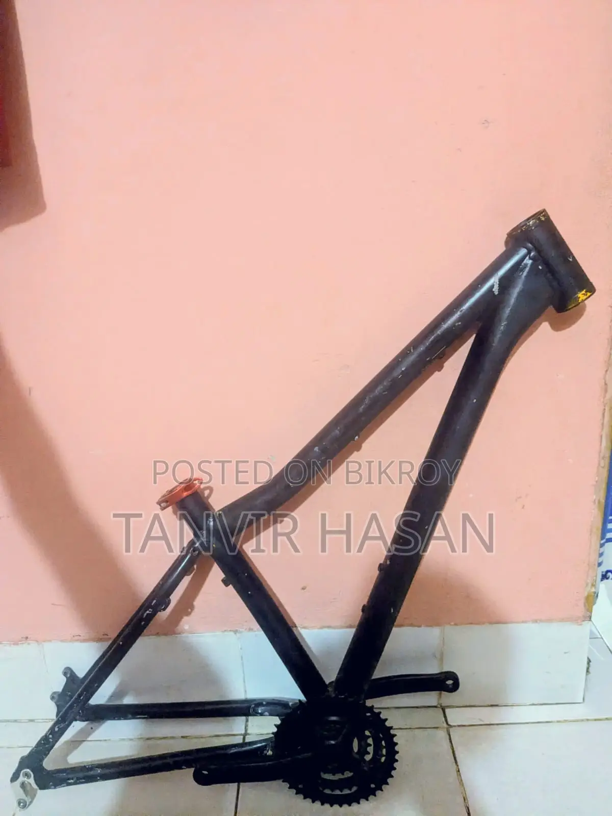 Focus Bicycle Frame