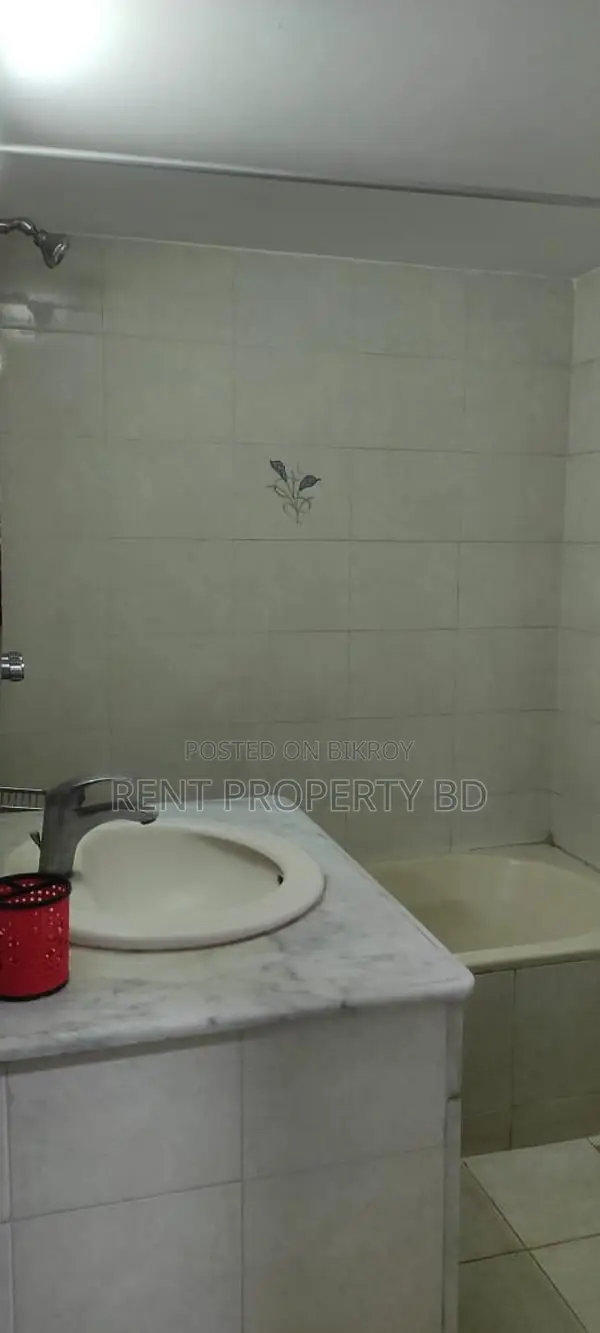 1650 Sft Fully Furnished Apartment Rent Gulshan
