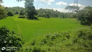 337 Decimal Land for Sale, Perfect for Resort