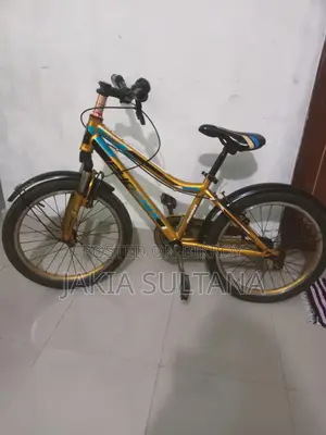 Duranta Bicycle for Sale
