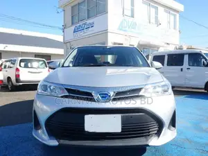 Toyota Axio EX PACKAGE SILVER 2020