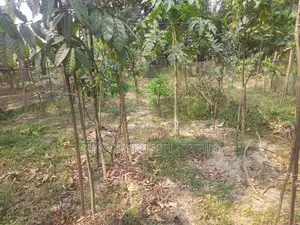 3.25 decimal land for sale.