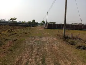 Long-Term Rental Available – Ideal for Nursery / Farm / Vegetable Cultivation