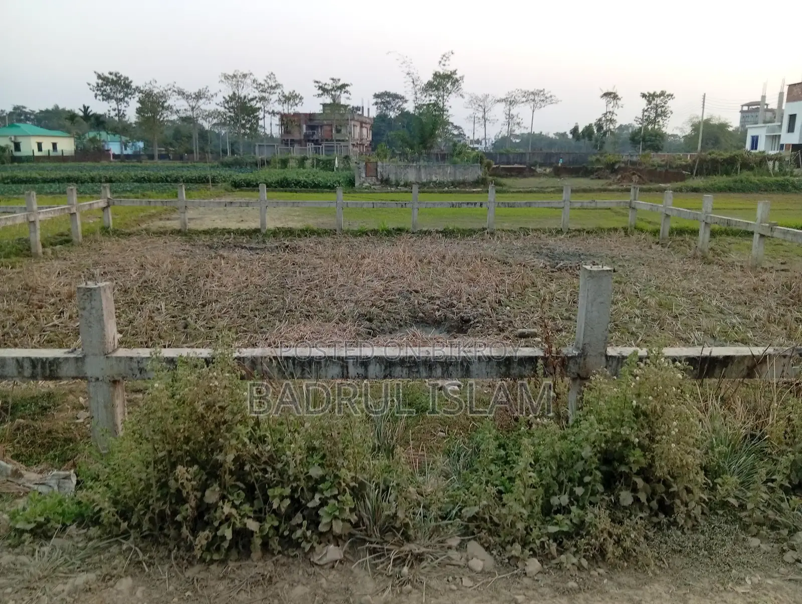 Long-Term Rental Available – Ideal for Nursery / Farm / Vegetable Cultivation
