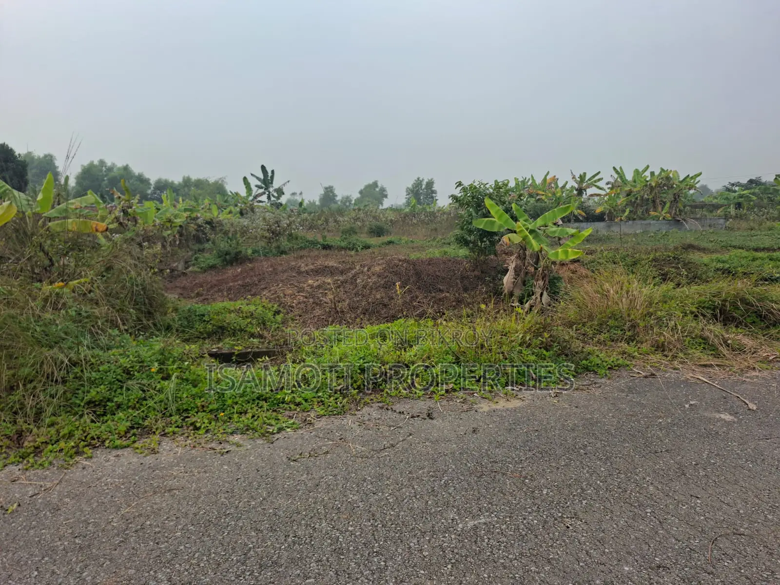 রাজউক পূর্বাচল প্রজেক্টে ৫ কাঠার প্লট বিক্রয় হবে