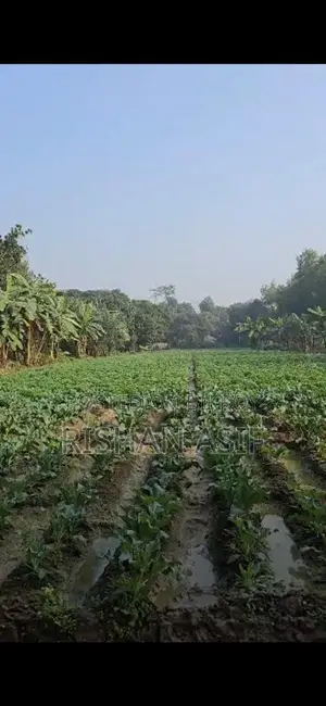Clear-Title Land for Sale Near Dhaka-Cumilla Highway