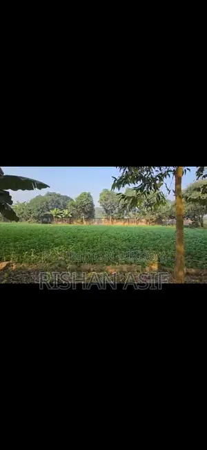 Clear-Title Land for Sale Near Dhaka-Cumilla Highway