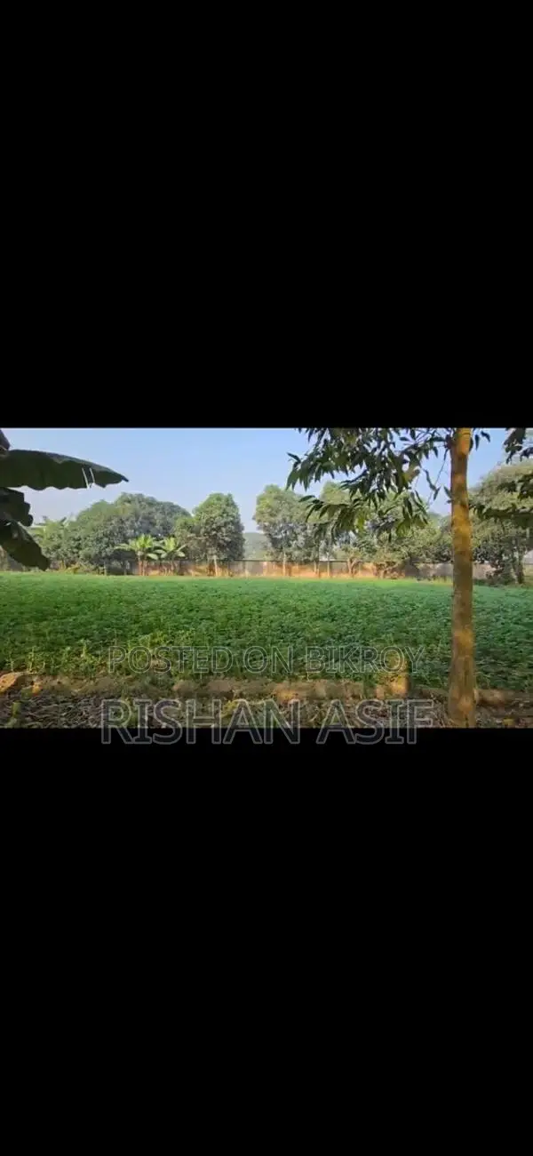 Clear-Title Land for Sale Near Dhaka-Cumilla Highway