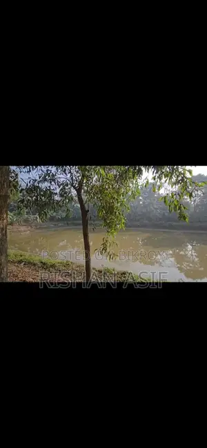 Clear-Title Land for Sale Near Dhaka-Cumilla Highway