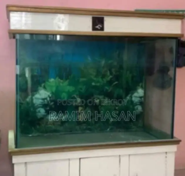 Aquarium
