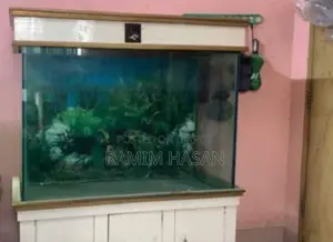 Aquarium