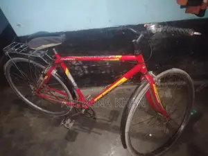 Mountain Cycle